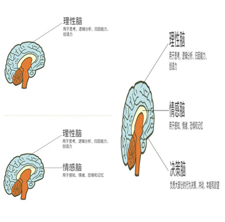 石家莊尚武科技,銷售腦培訓(xùn),網(wǎng)站建設(shè)營(yíng)銷思路